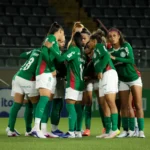 Foto: Divulgação/Palmeiras