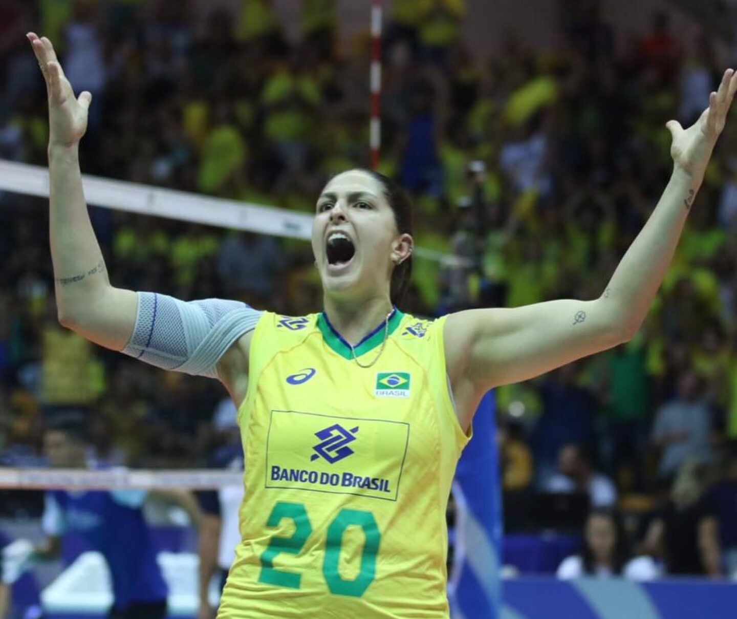 FIVB/Divulgação