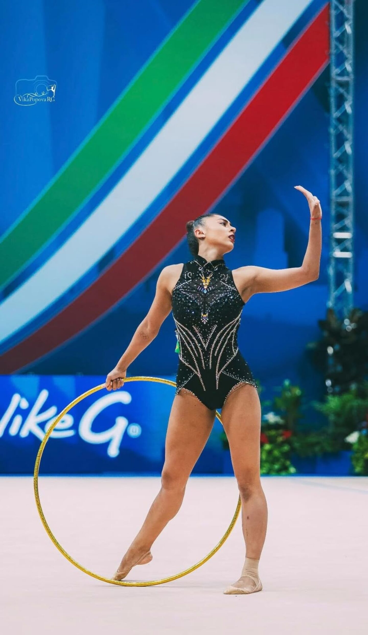Imagem: Viktoriia Popova