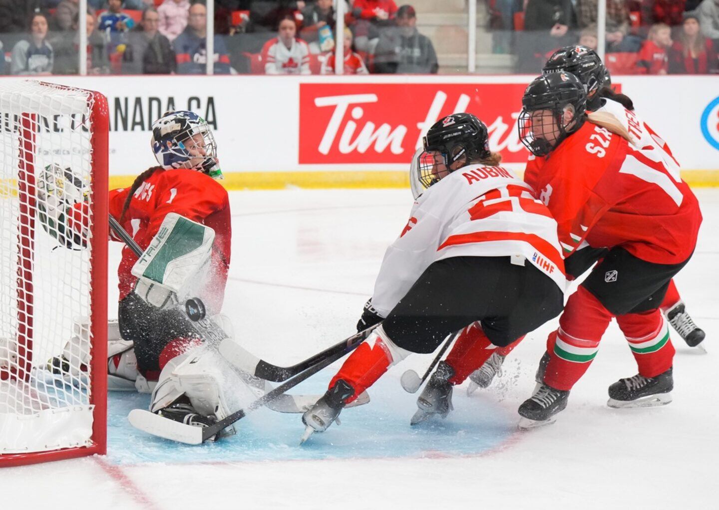 Foto: Reprodução/X