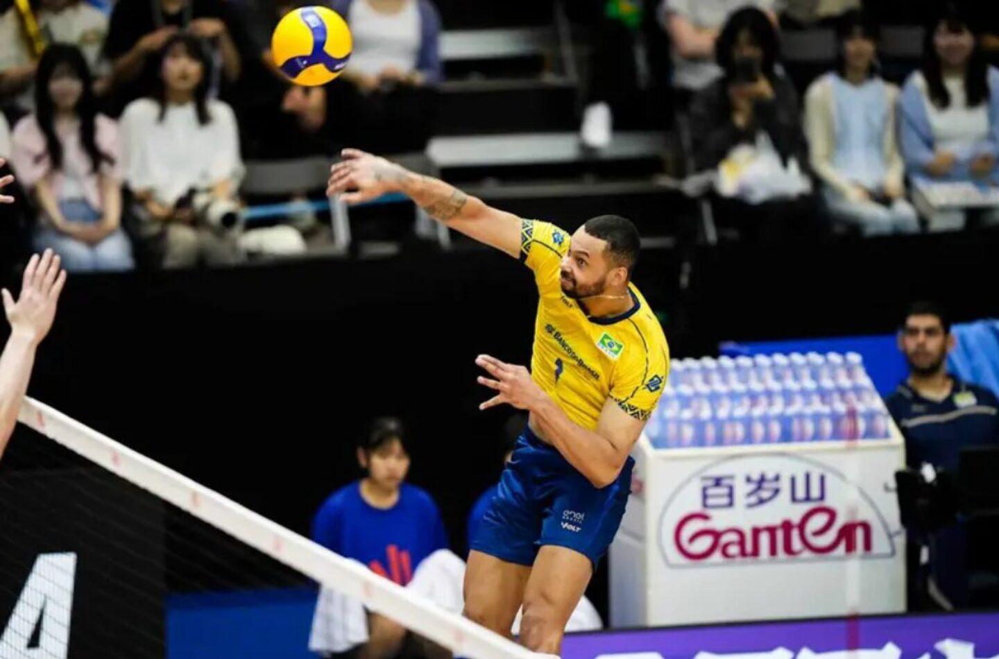 Foto: Volleyball World