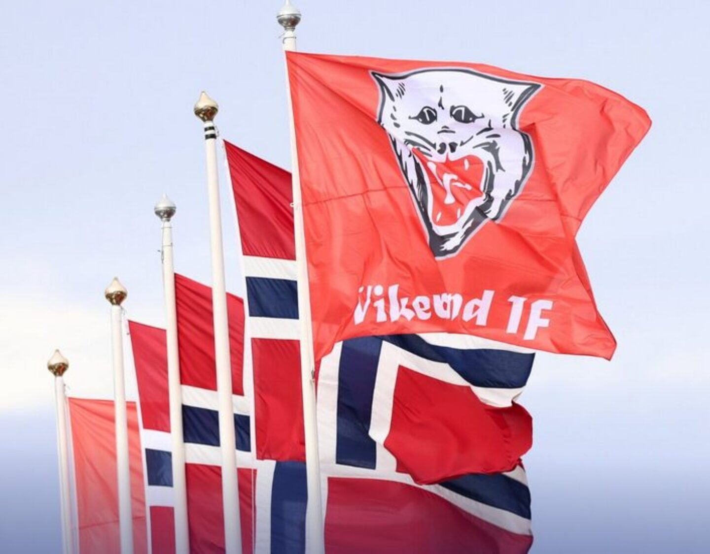 Captura de tela 2026-03-22 174440 Foto: Reprodução