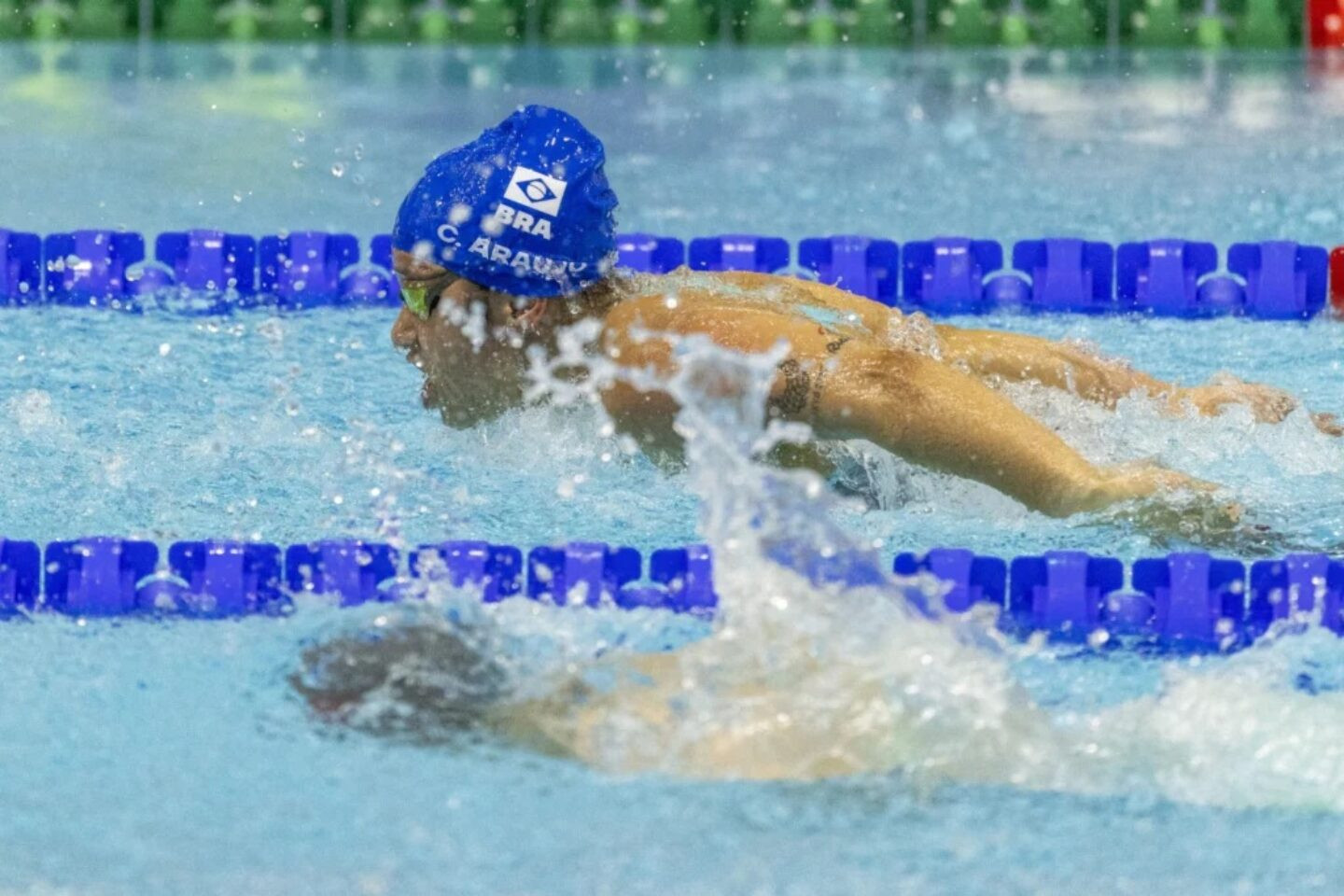 Cecilia Araújo Foto: Alessandra Cabral/CPB