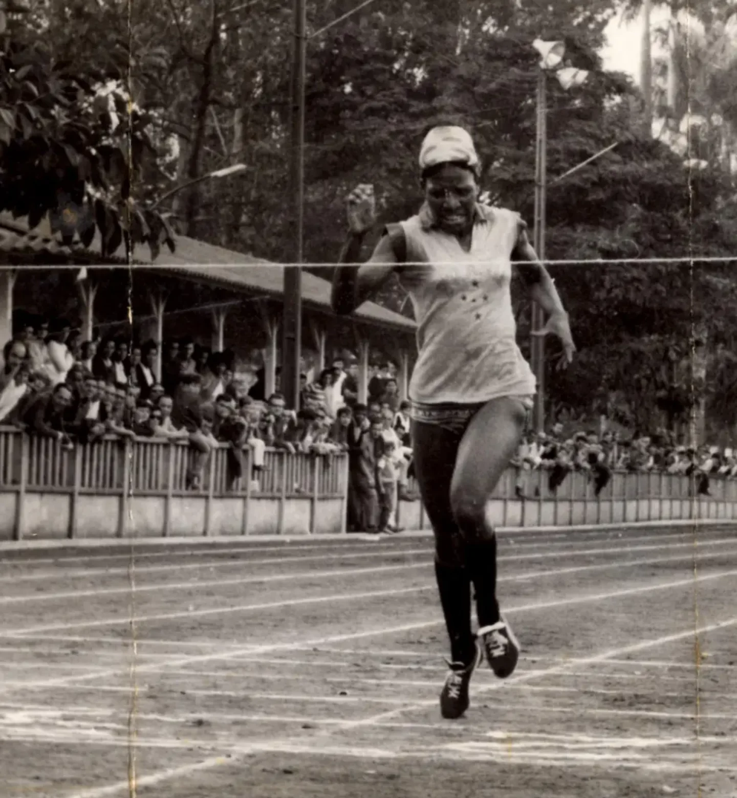 Foto-Irenice-M.-Rodrigues- Reprodução