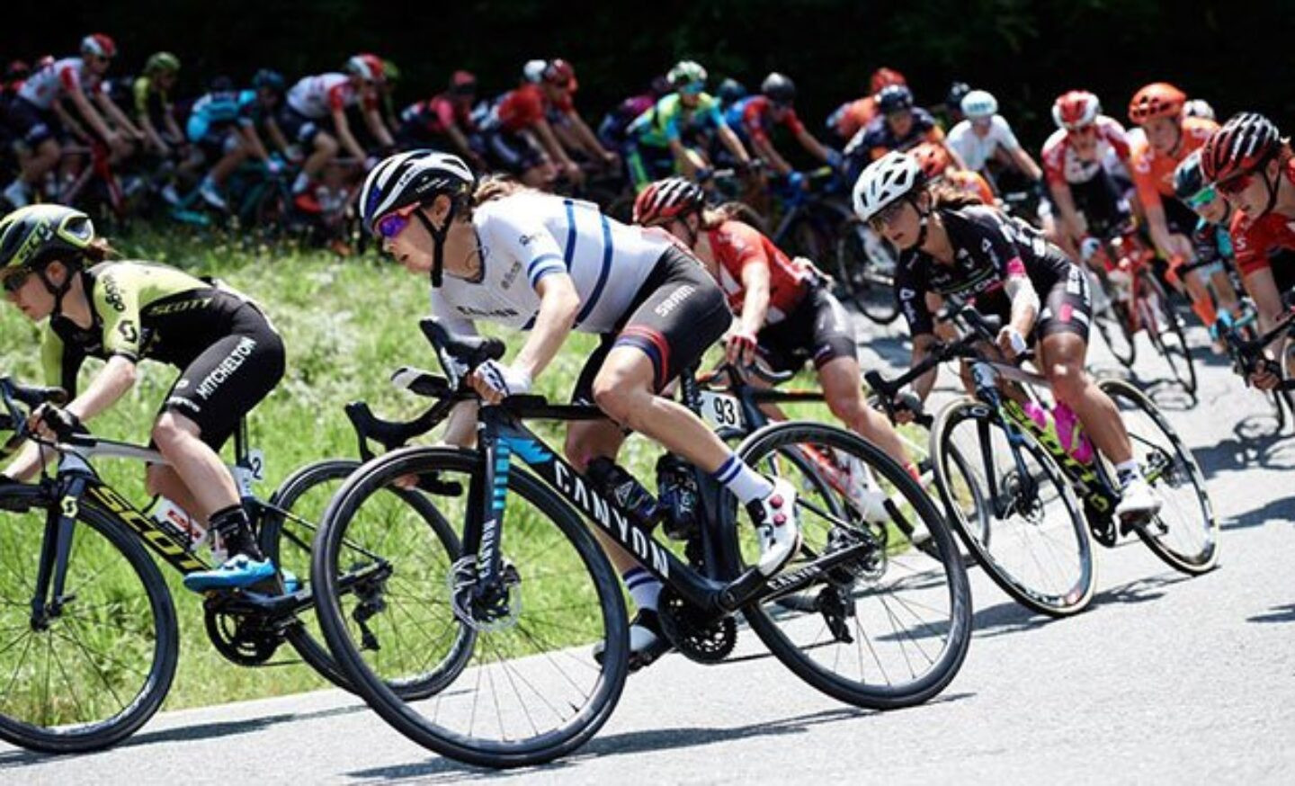 Foto:Velofocus