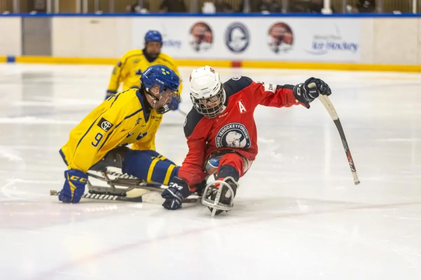 Norway vs Sweden. Foto: Divulgação