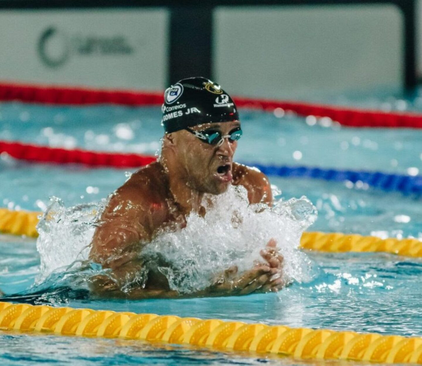 Foto: Divulgação/Pinheiros