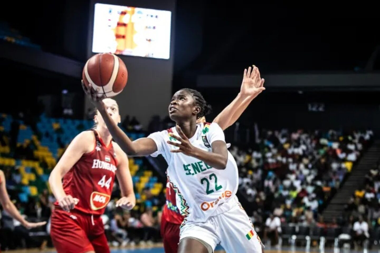 Foto: FIBA