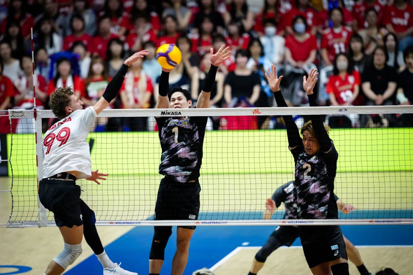 aubpirppnguczxhioelf Foto: Divulgação/Volleyball World