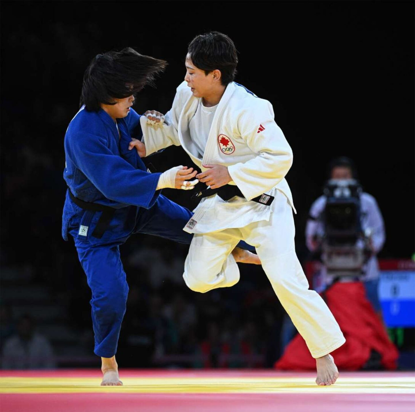 Foto: Divulgação/IJF