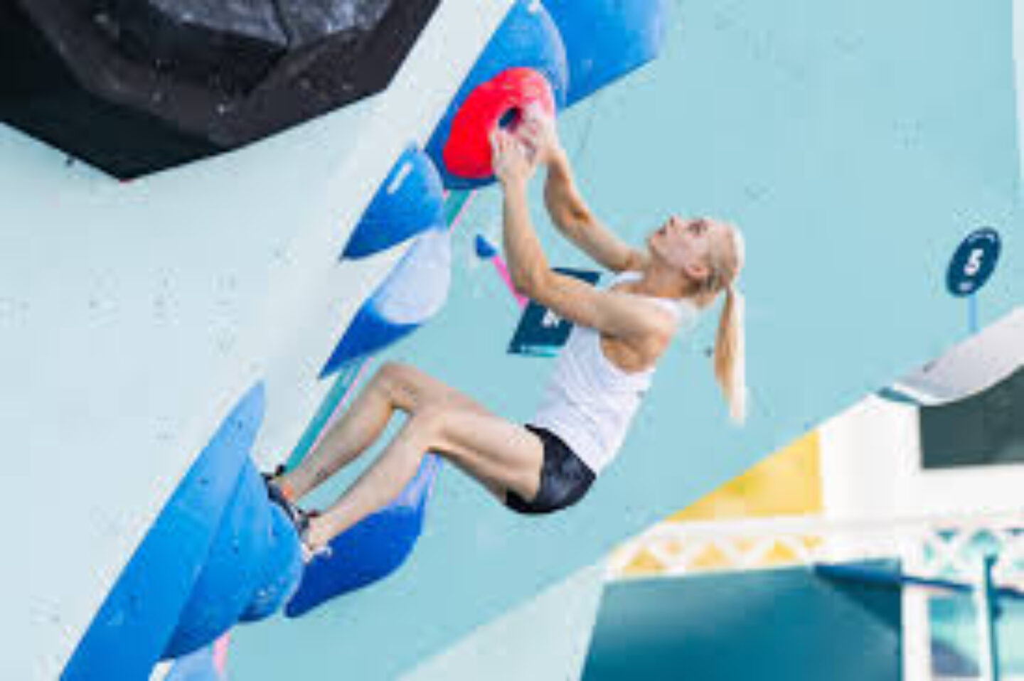 images (1) Reprodução/X