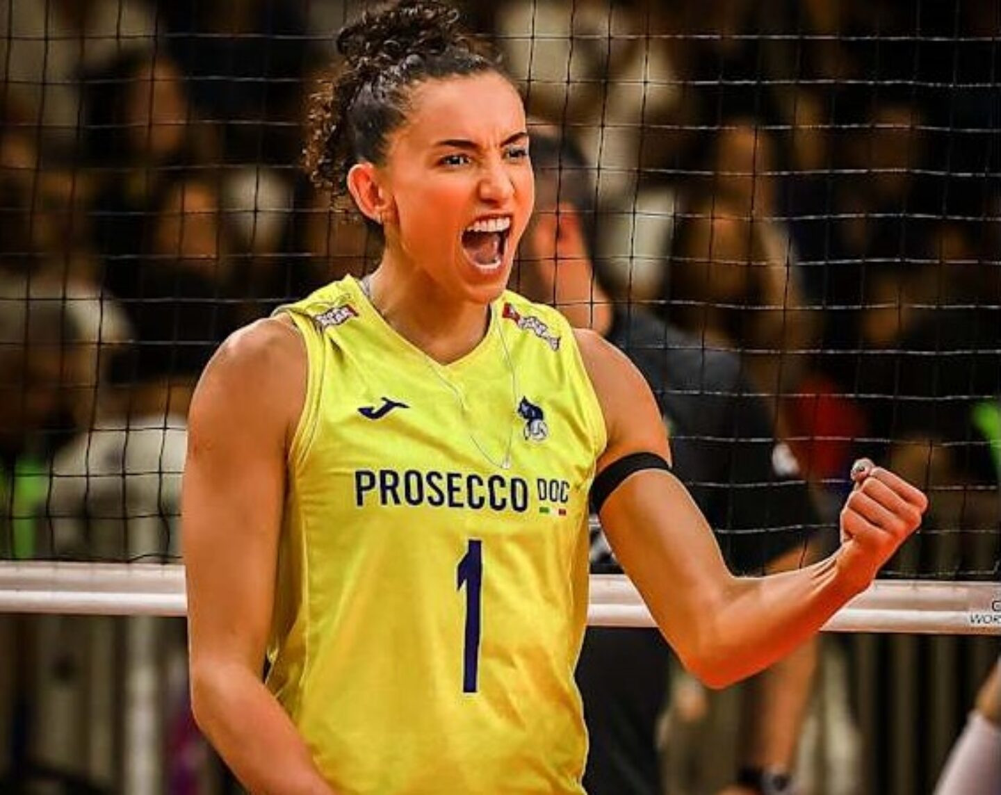 Foto: Reprodução Volleyball World