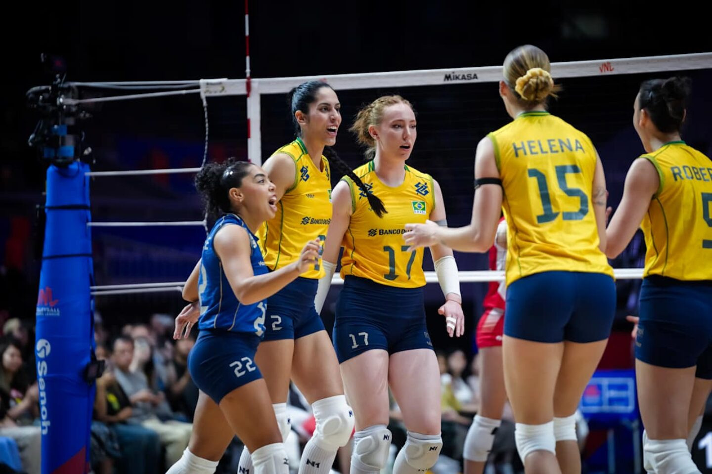 Foto: Divulgação Volleyball World