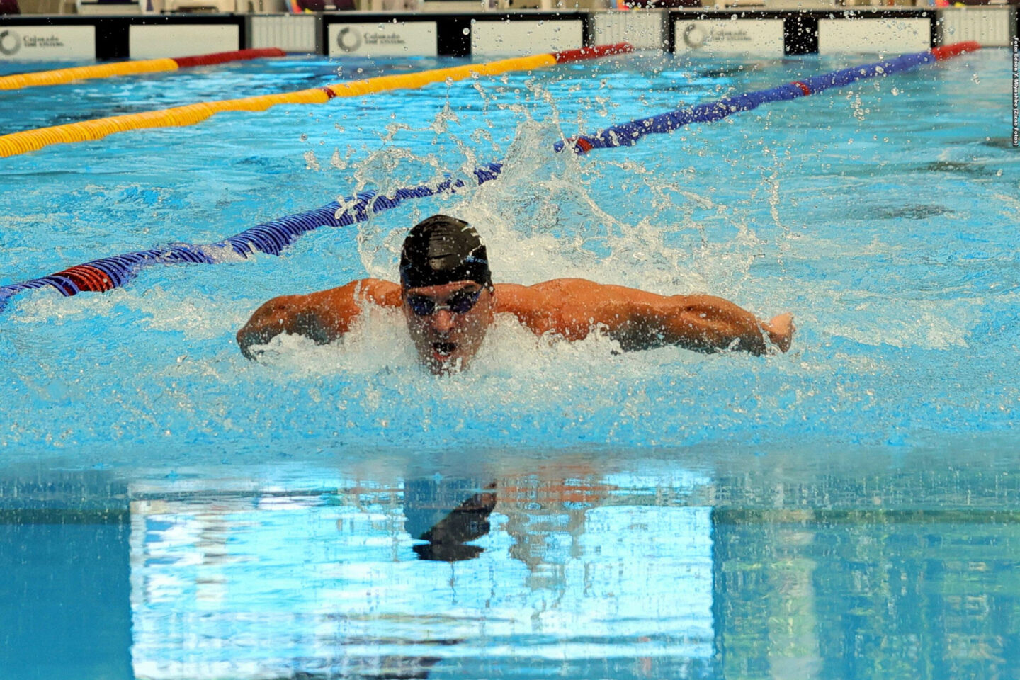 Foto: Edson Y. Miyashiro (Zizao Fotos)