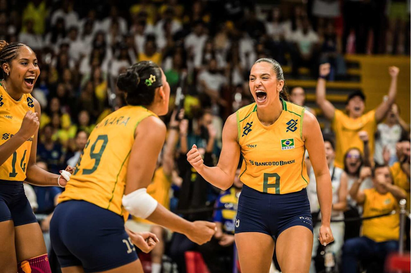 Foto: Divulgação FIVB / VNL