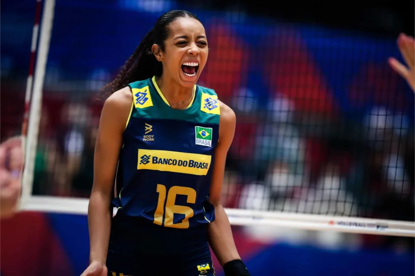 World Volleyball